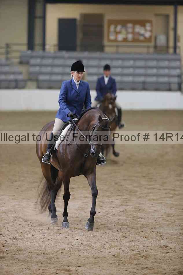Proof Number 14r14_3674