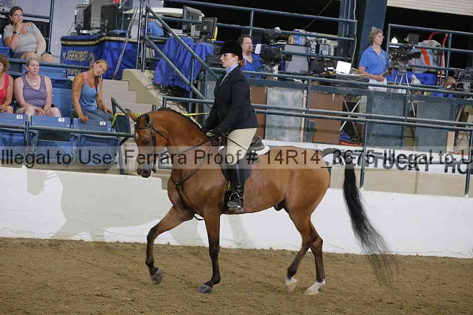 Proof Number 14r14_3675