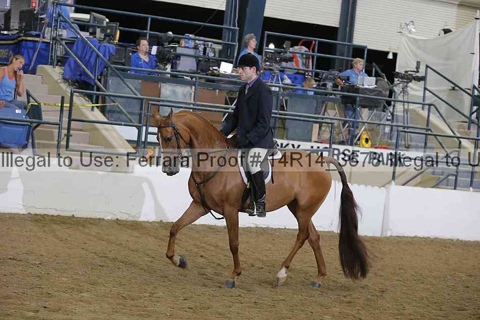 Proof Number 14r14_3678