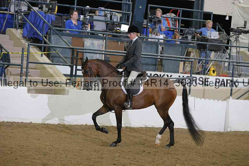Proof Number 14r14_3683