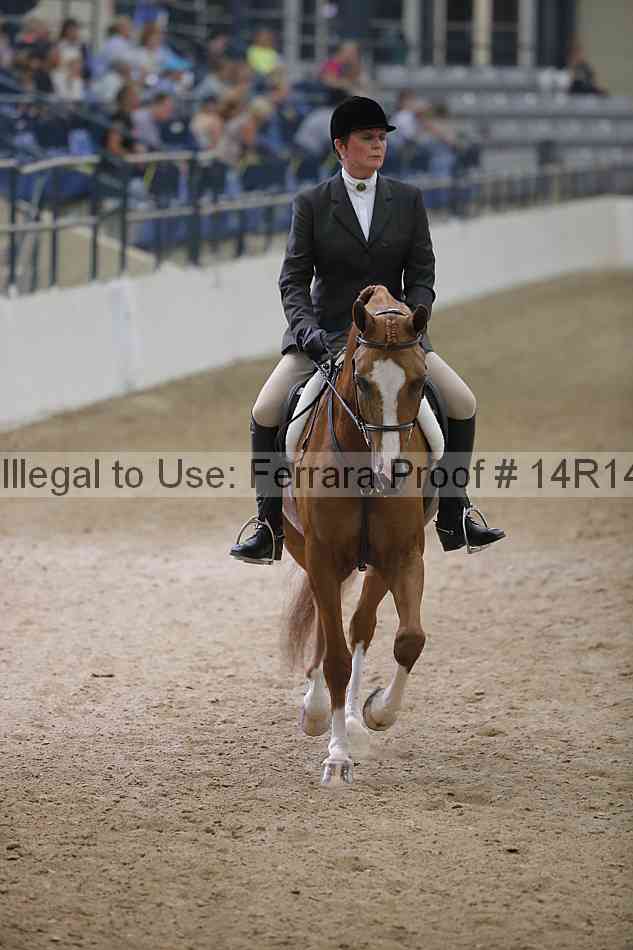 Proof Number 14r14_3685