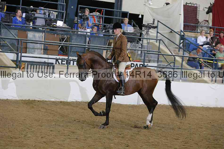 Proof Number 14r14_3686