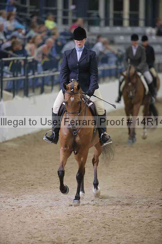 Proof Number 14r14_3687