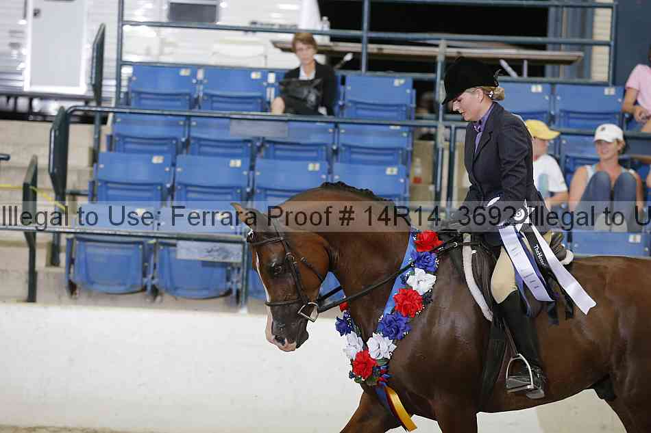 Proof Number 14r14_3692
