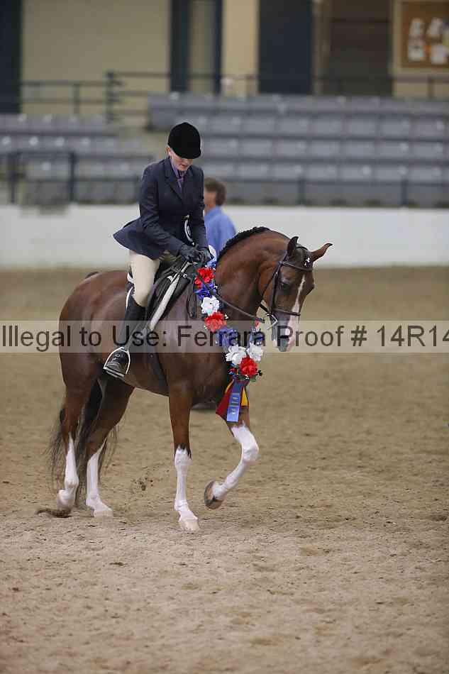Proof Number 14r14_3693