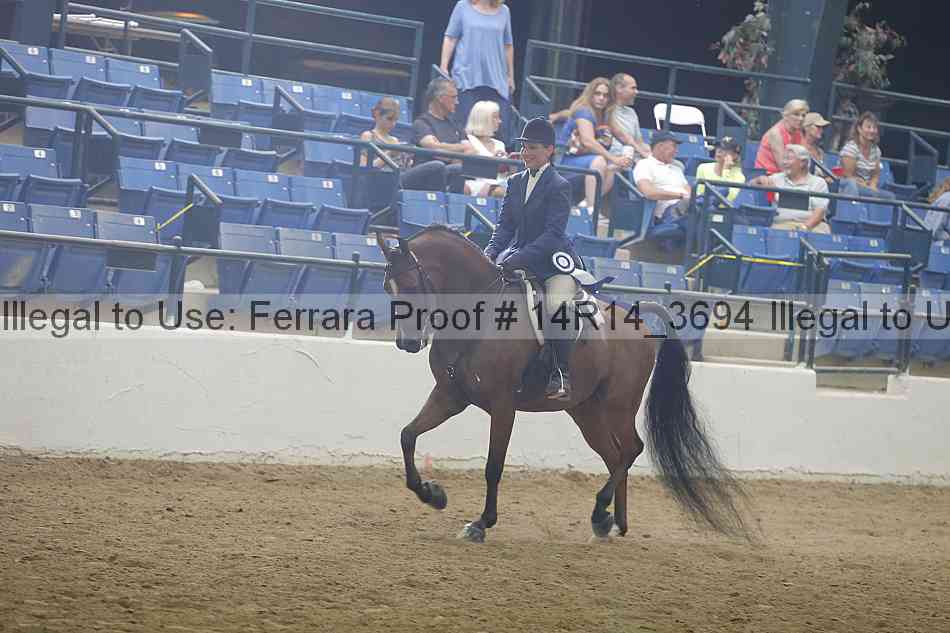 Proof Number 14r14_3694
