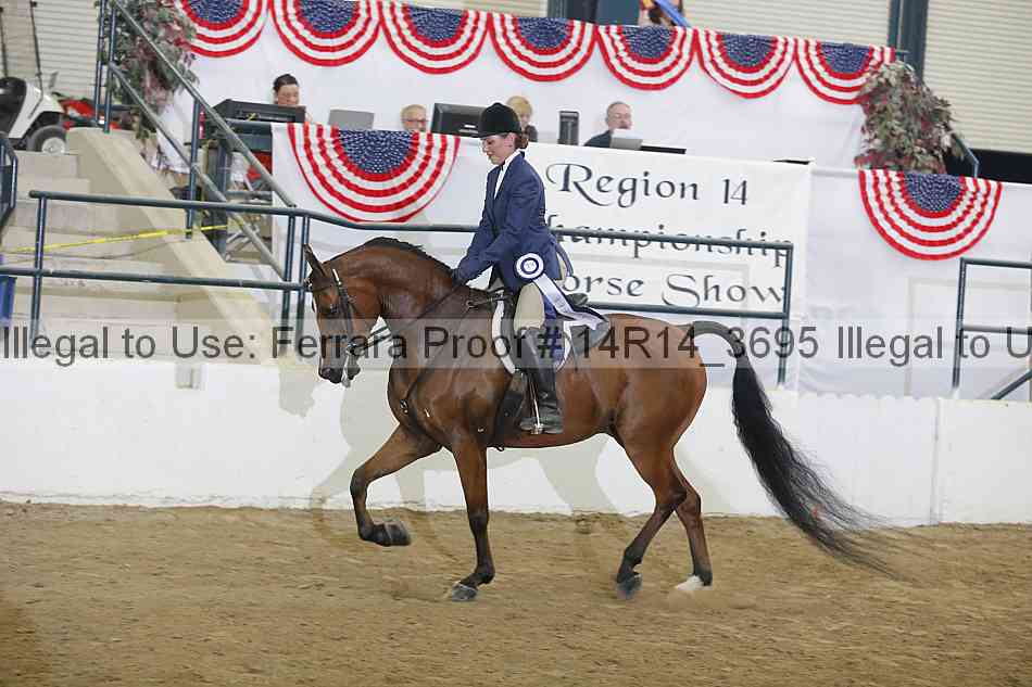Proof Number 14r14_3695