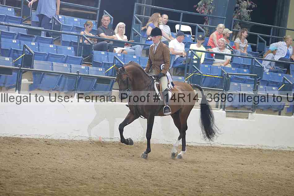 Proof Number 14r14_3696
