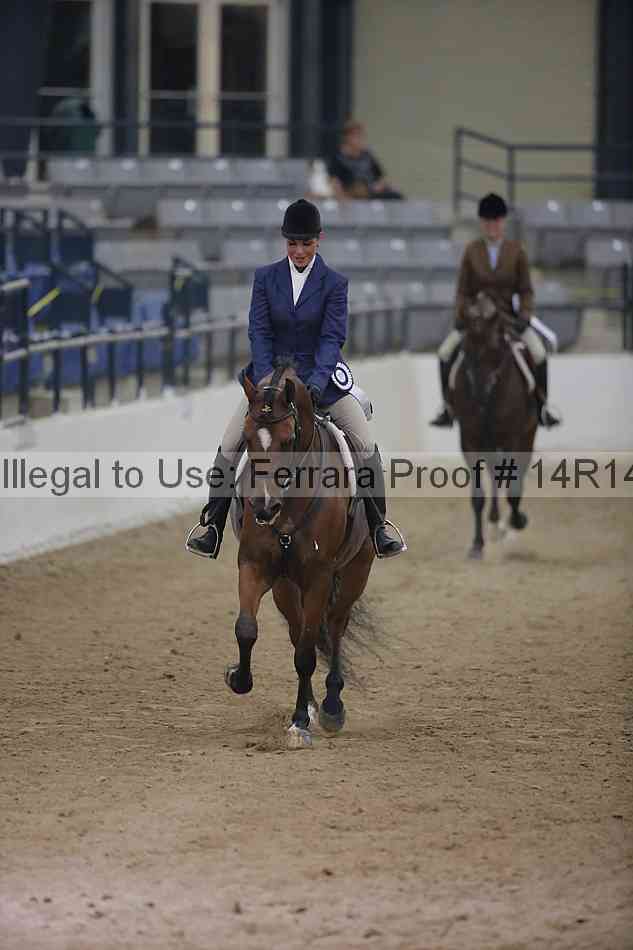 Proof Number 14r14_3698