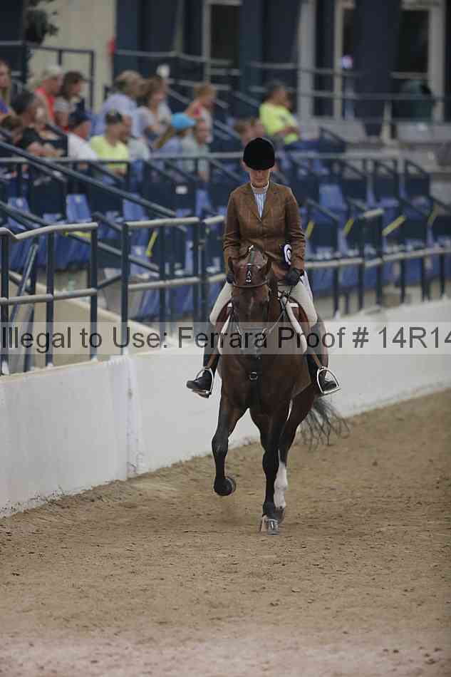 Proof Number 14r14_3700