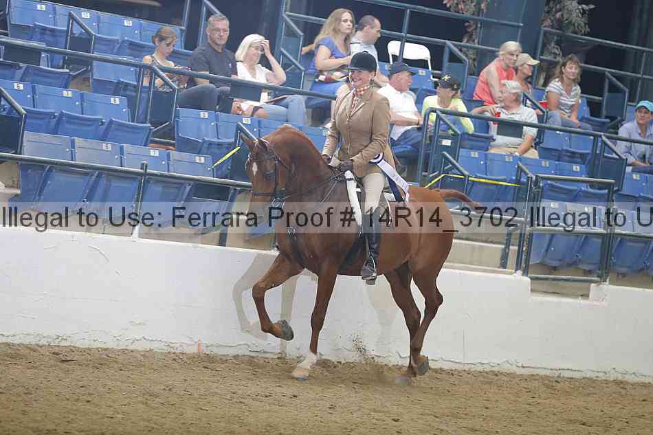 Proof Number 14r14_3702