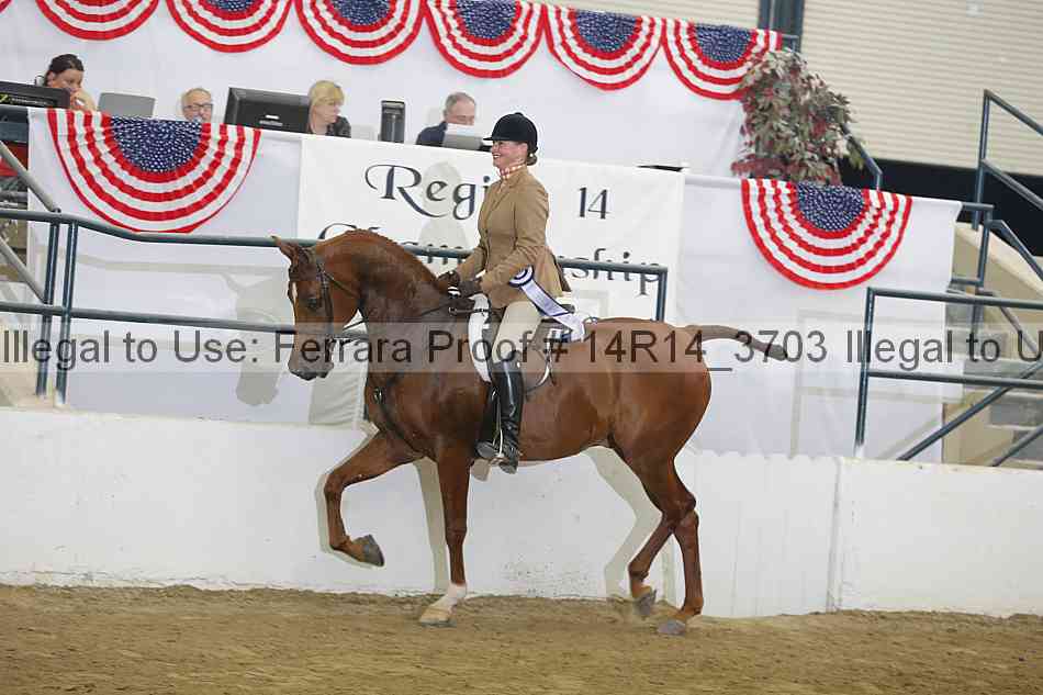 Proof Number 14r14_3703