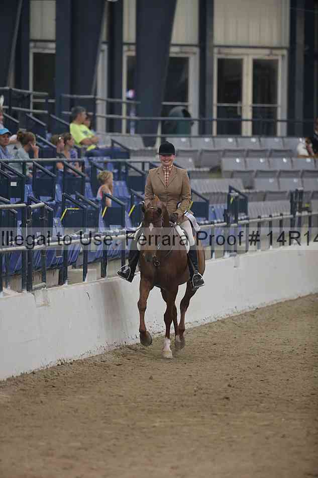Proof Number 14r14_3705