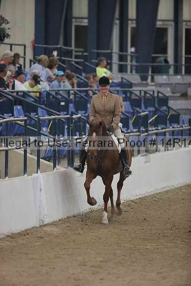 Proof Number 14r14_3706