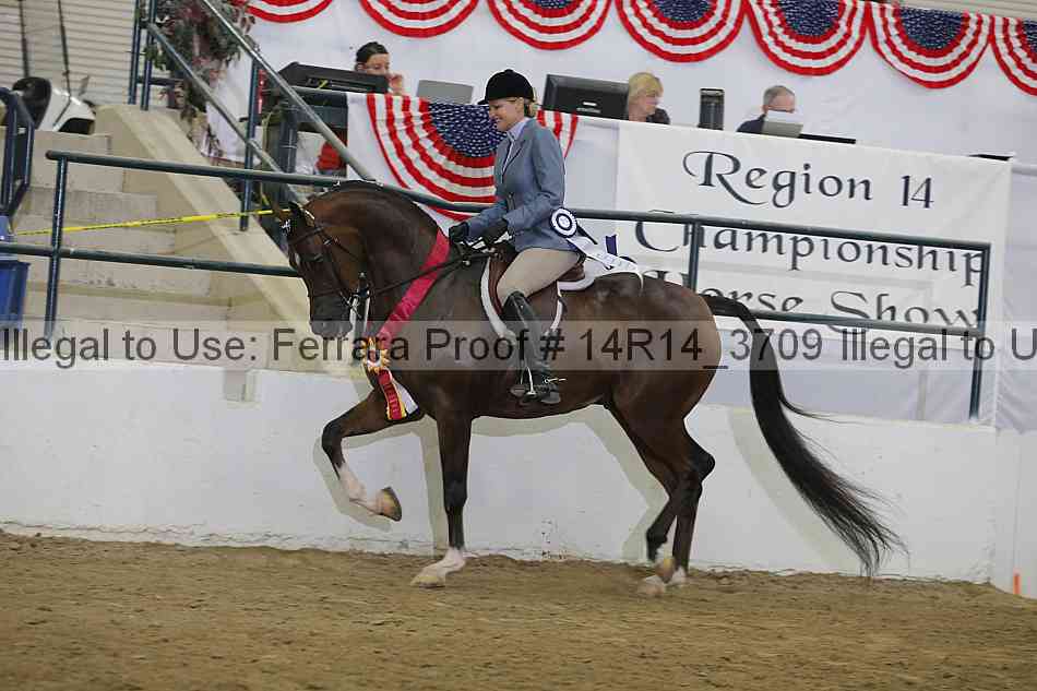 Proof Number 14r14_3709
