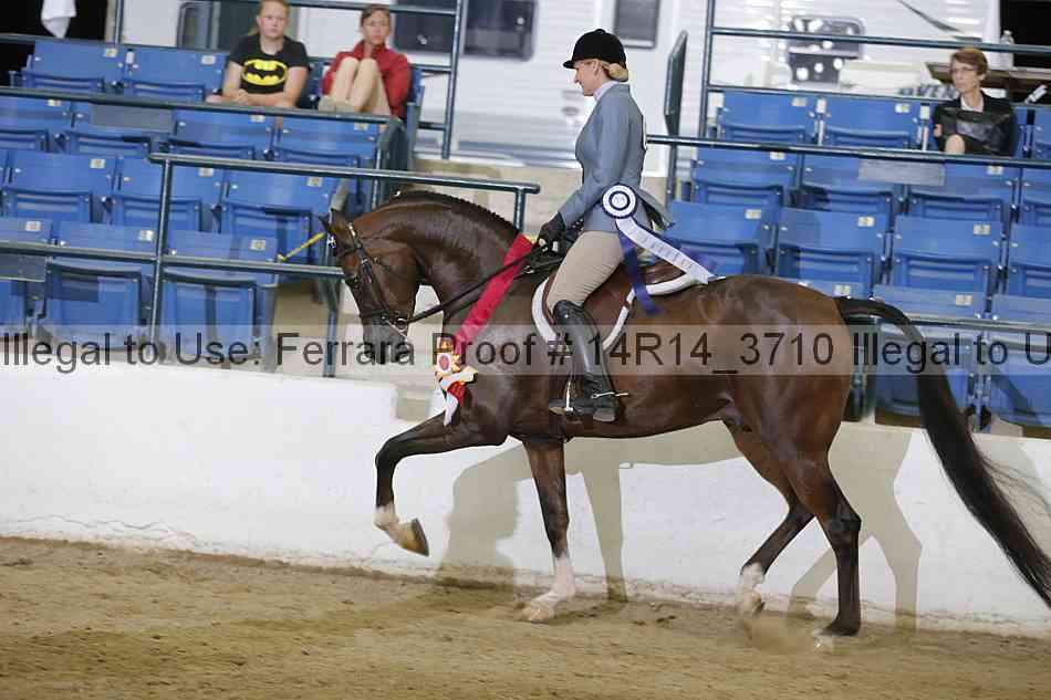 Proof Number 14r14_3710