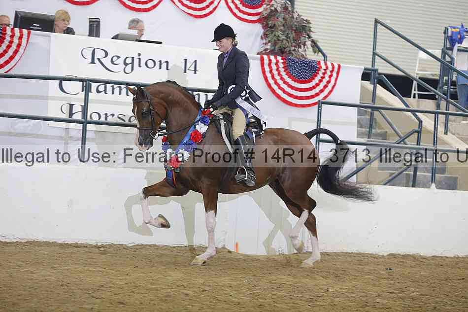 Proof Number 14r14_3713