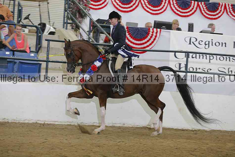 Proof Number 14r14_3714