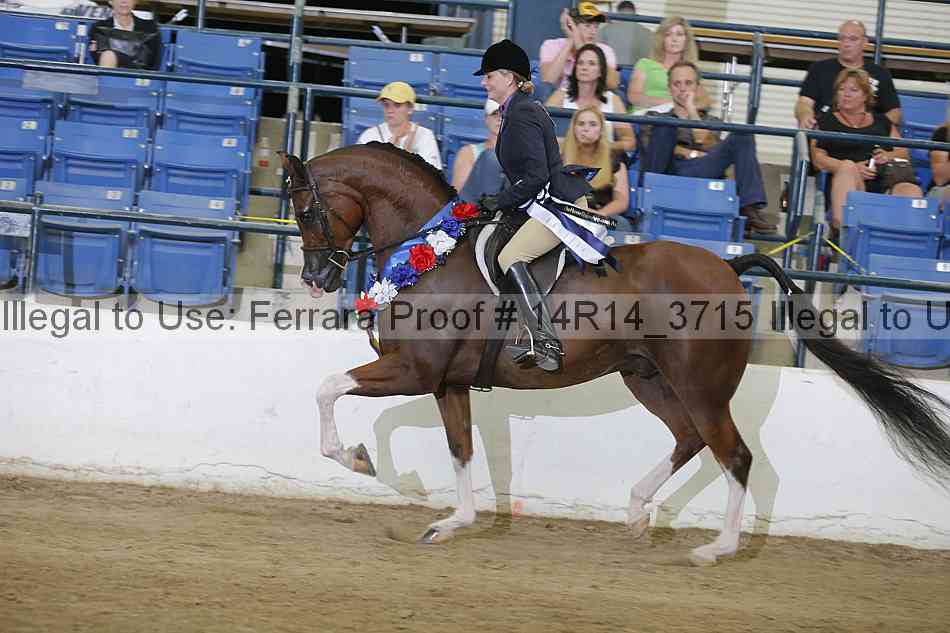 Proof Number 14r14_3715