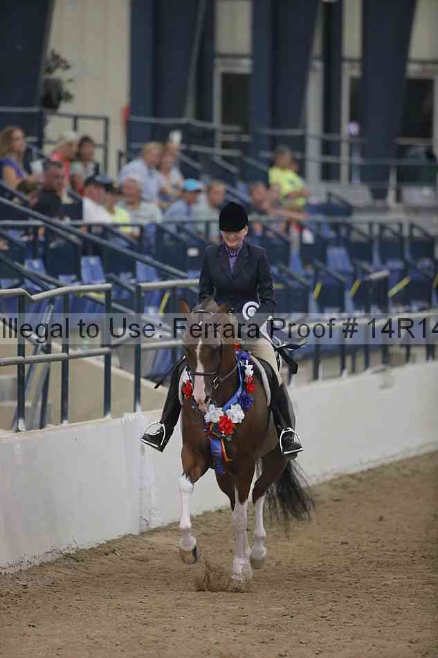 Proof Number 14r14_3717