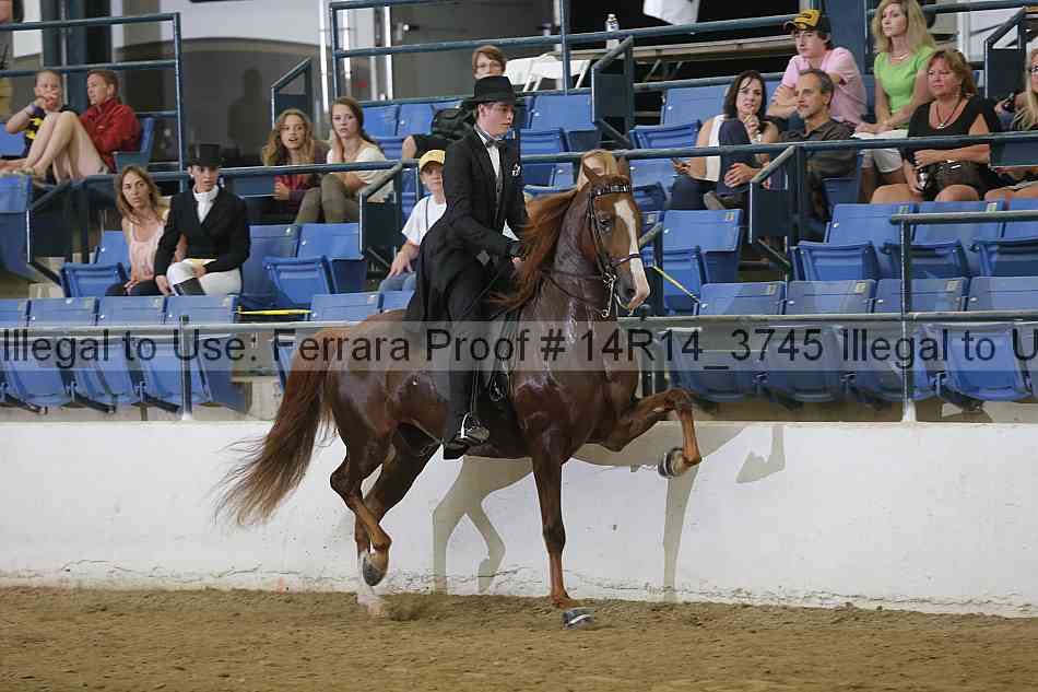Proof Number 14r14_3745