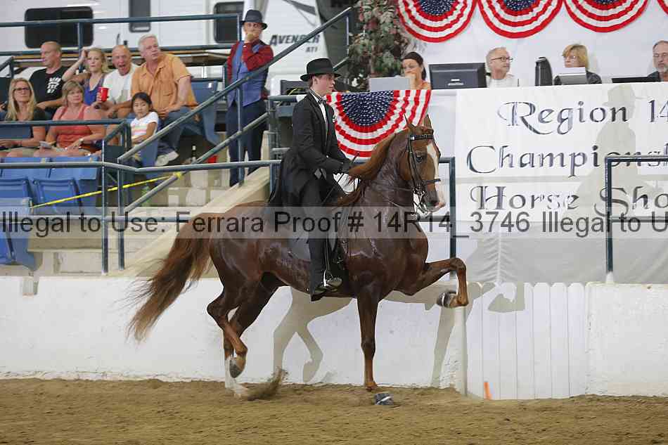 Proof Number 14r14_3746