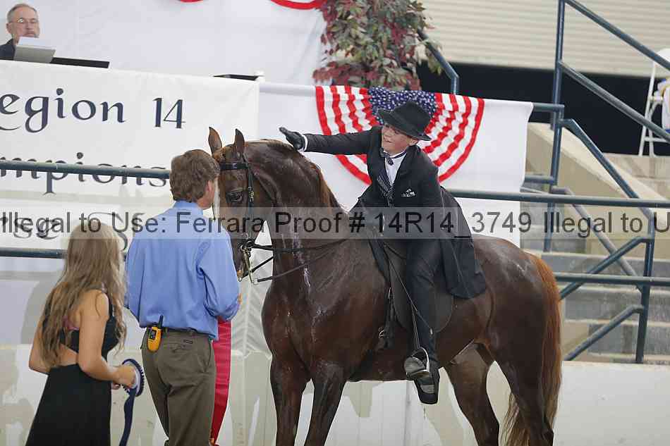 Proof Number 14r14_3749