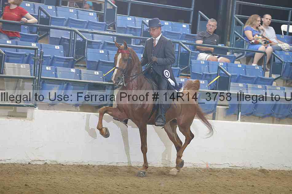 Proof Number 14r14_3758