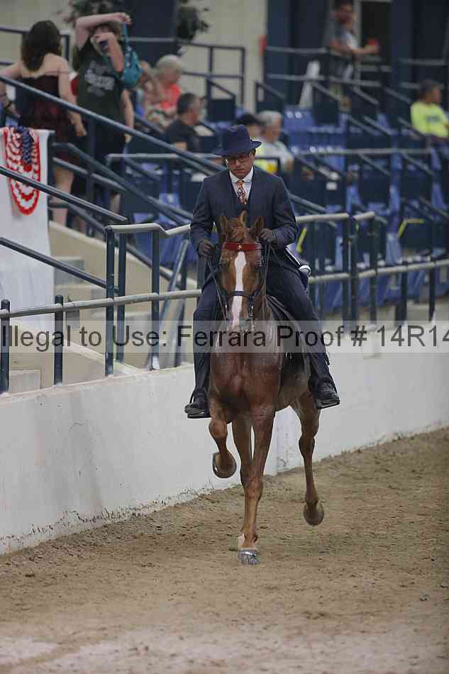 Proof Number 14r14_3761
