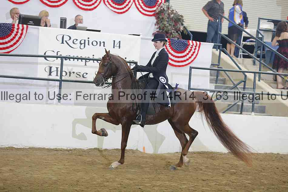 Proof Number 14r14_3763
