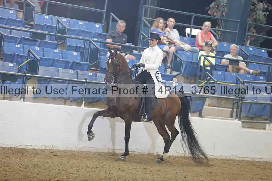 Proof Number 14r14_3765