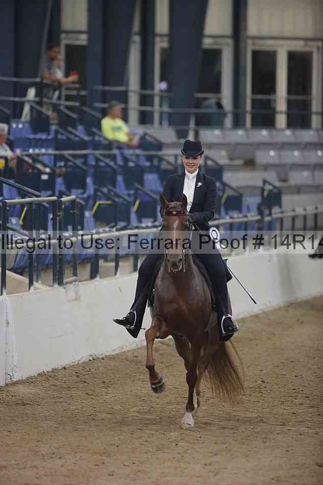 Proof Number 14r14_3766