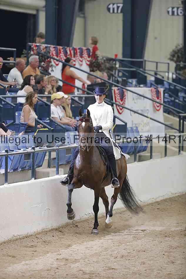 Proof Number 14r14_3767