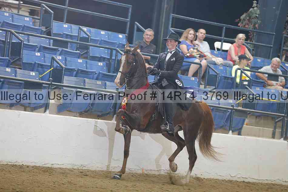 Proof Number 14r14_3769