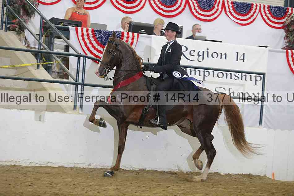 Proof Number 14r14_3771