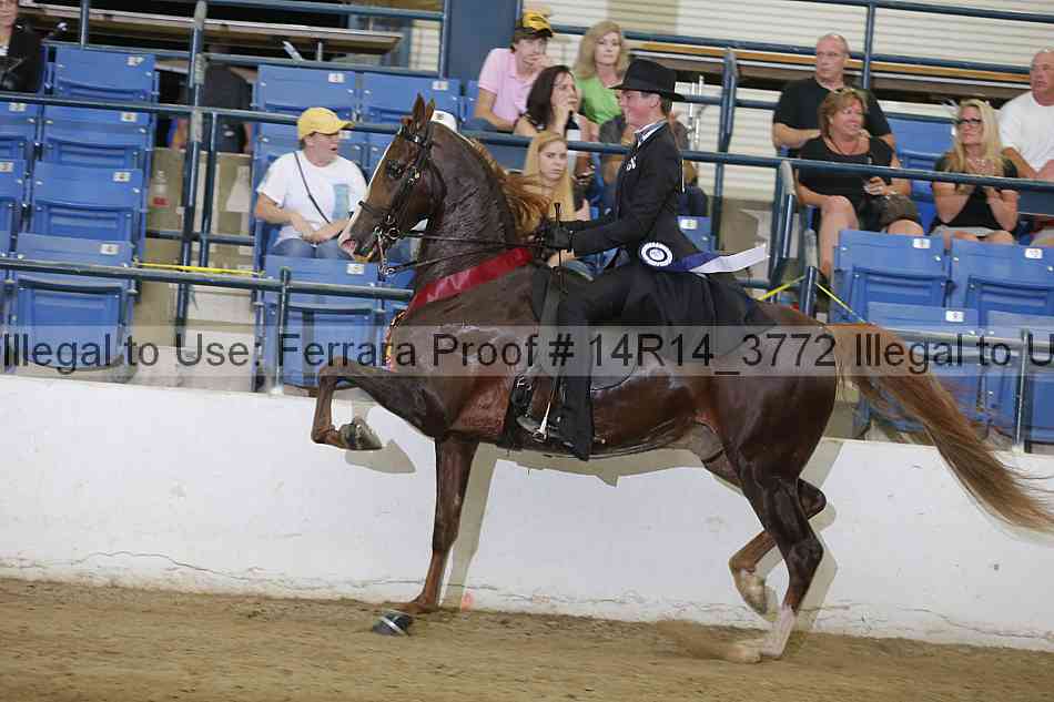 Proof Number 14r14_3772