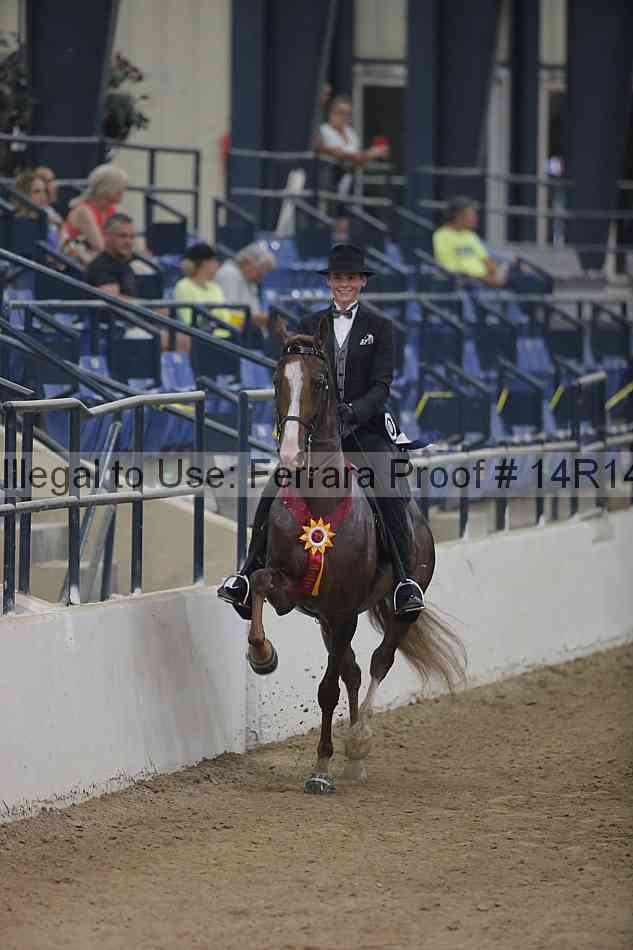 Proof Number 14r14_3773