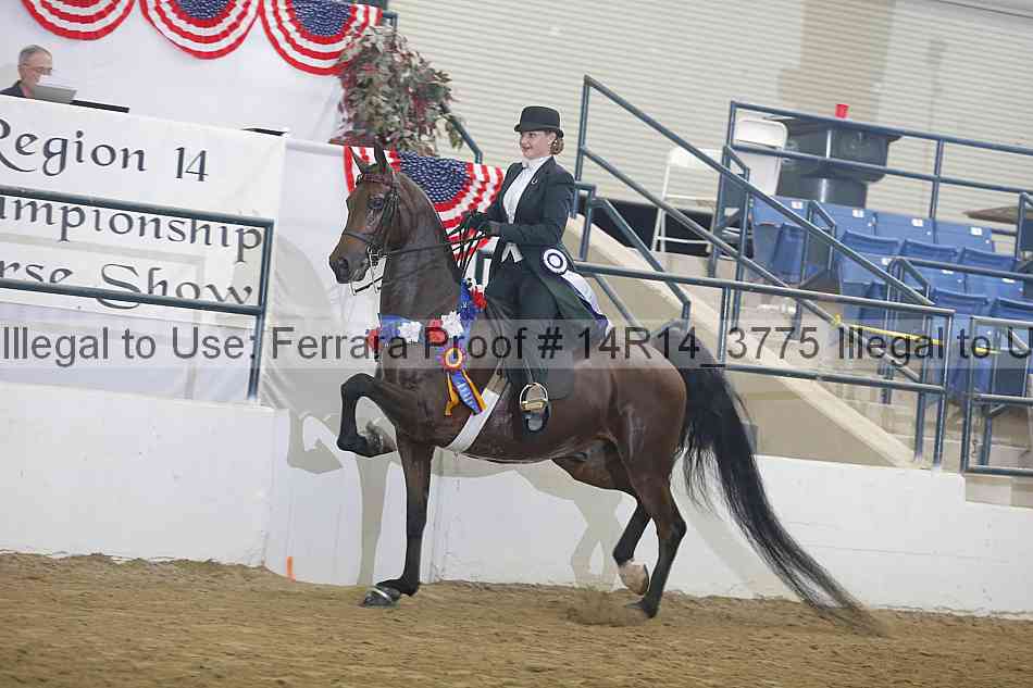 Proof Number 14r14_3775