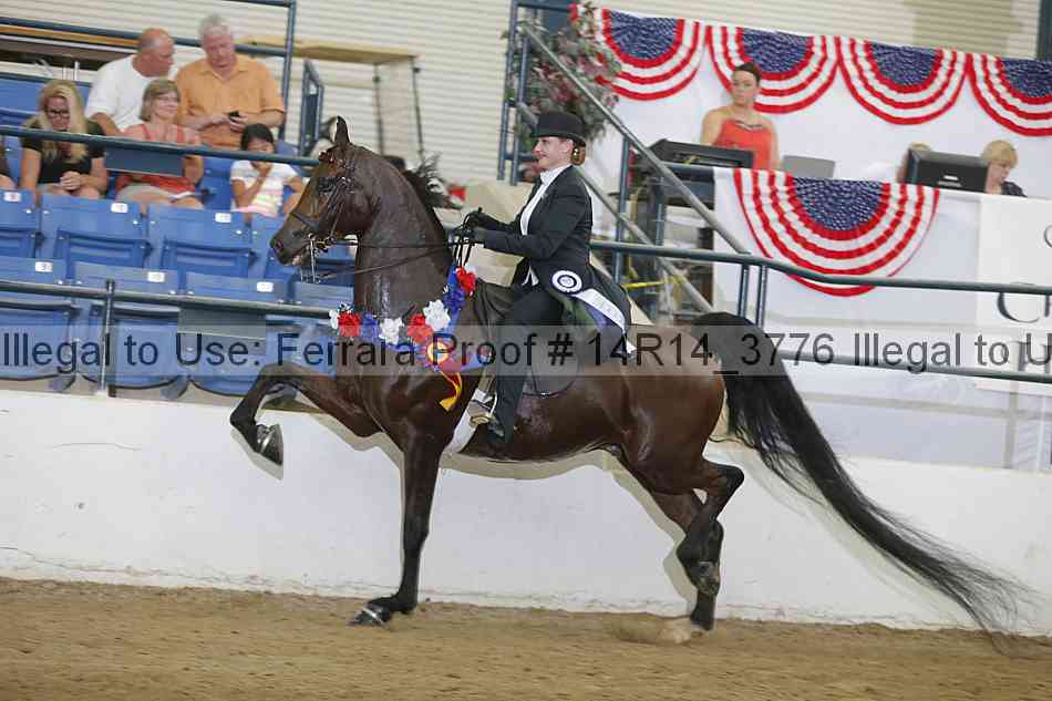 Proof Number 14r14_3776