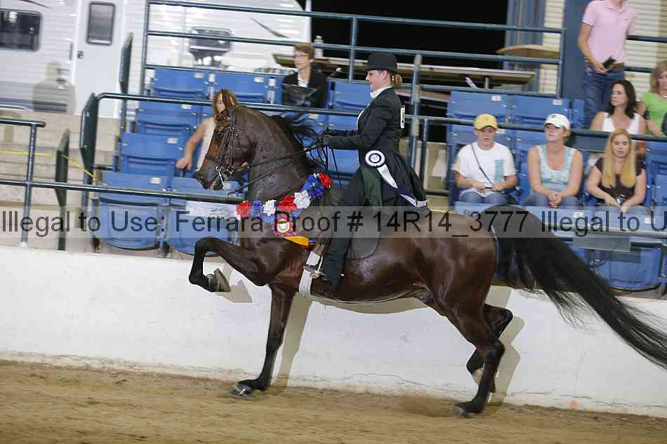 Proof Number 14r14_3777