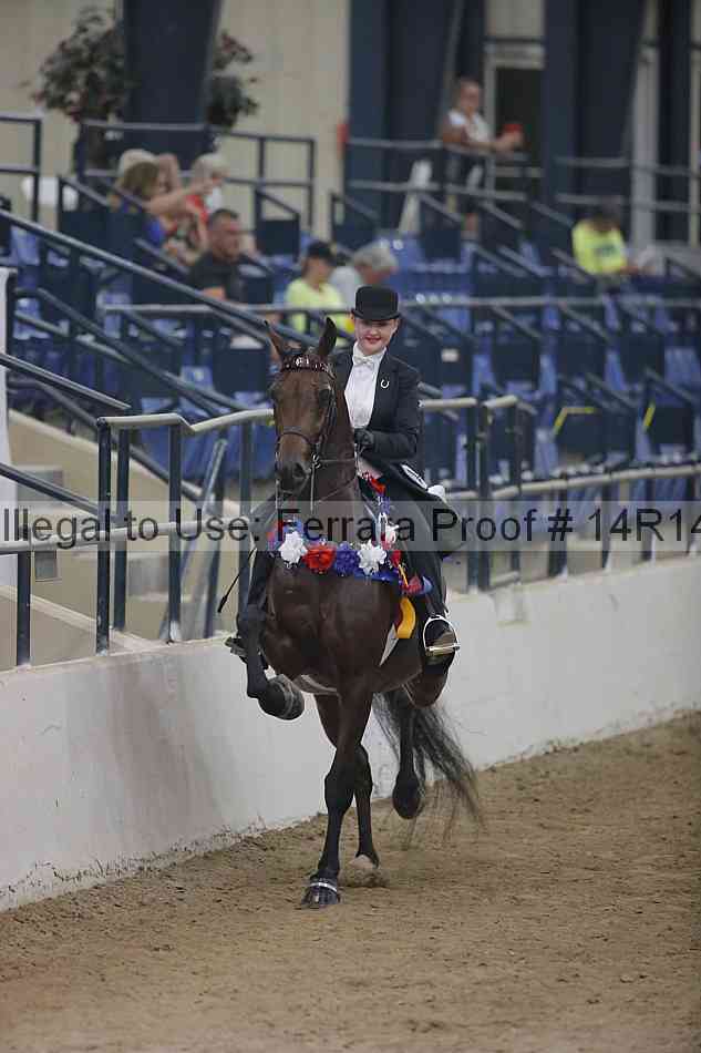 Proof Number 14r14_3778