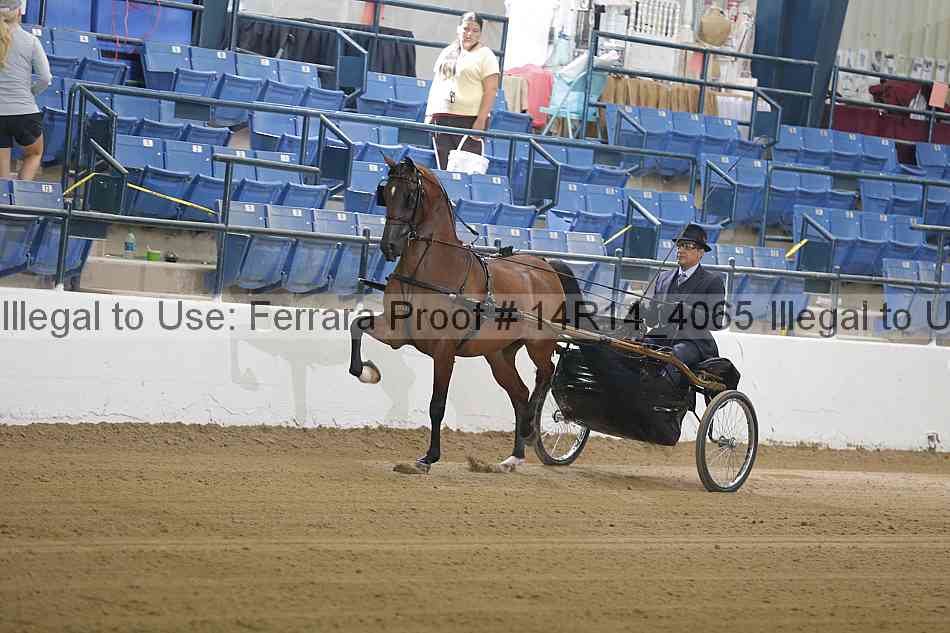 Proof Number 14r14_4065