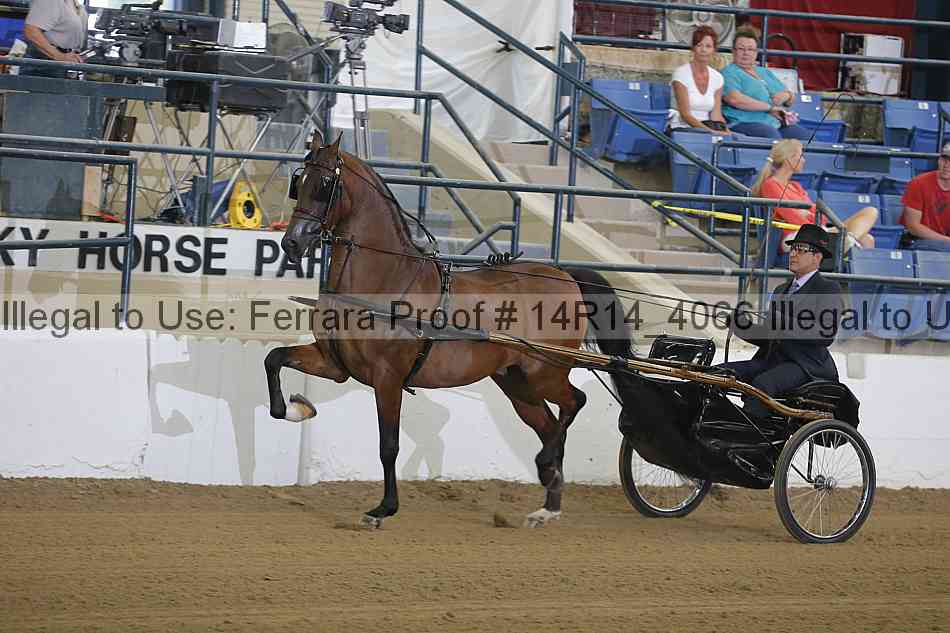 Proof Number 14r14_4066