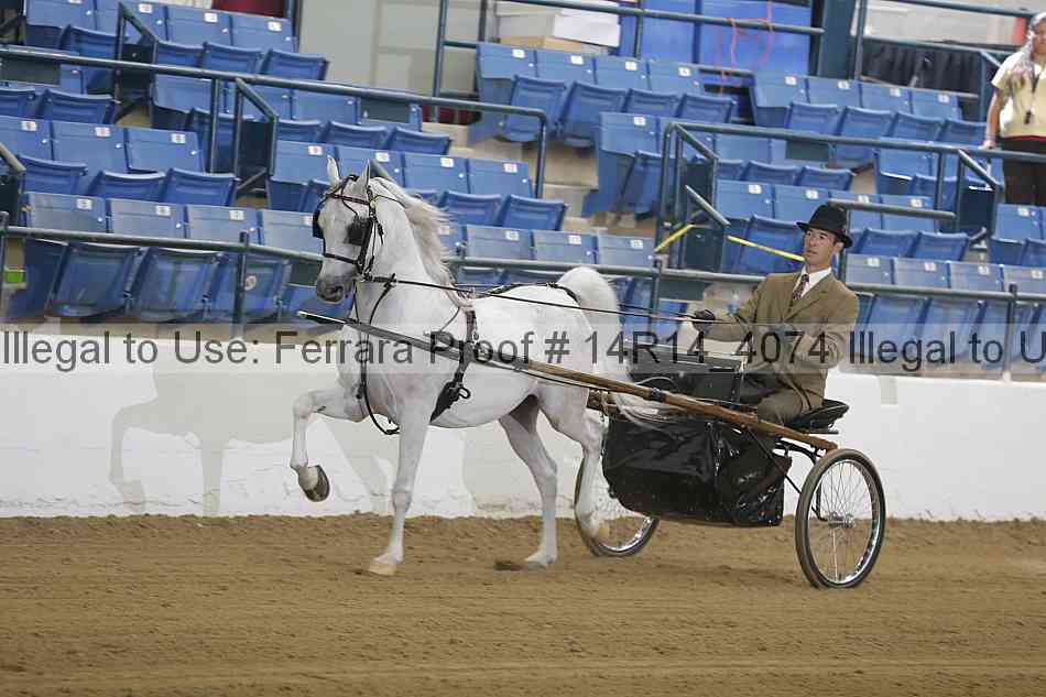 Proof Number 14r14_4074