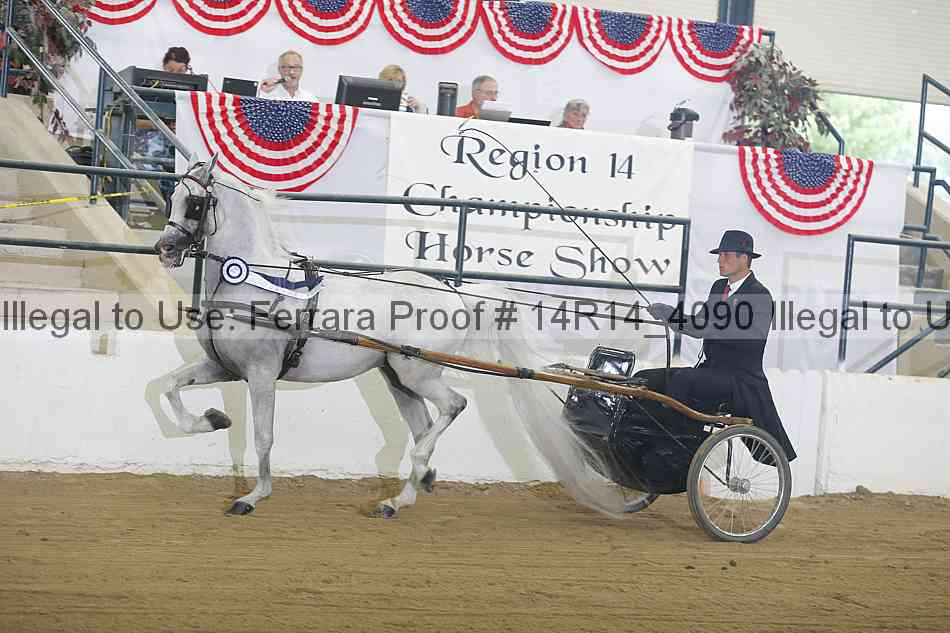Proof Number 14r14_4090