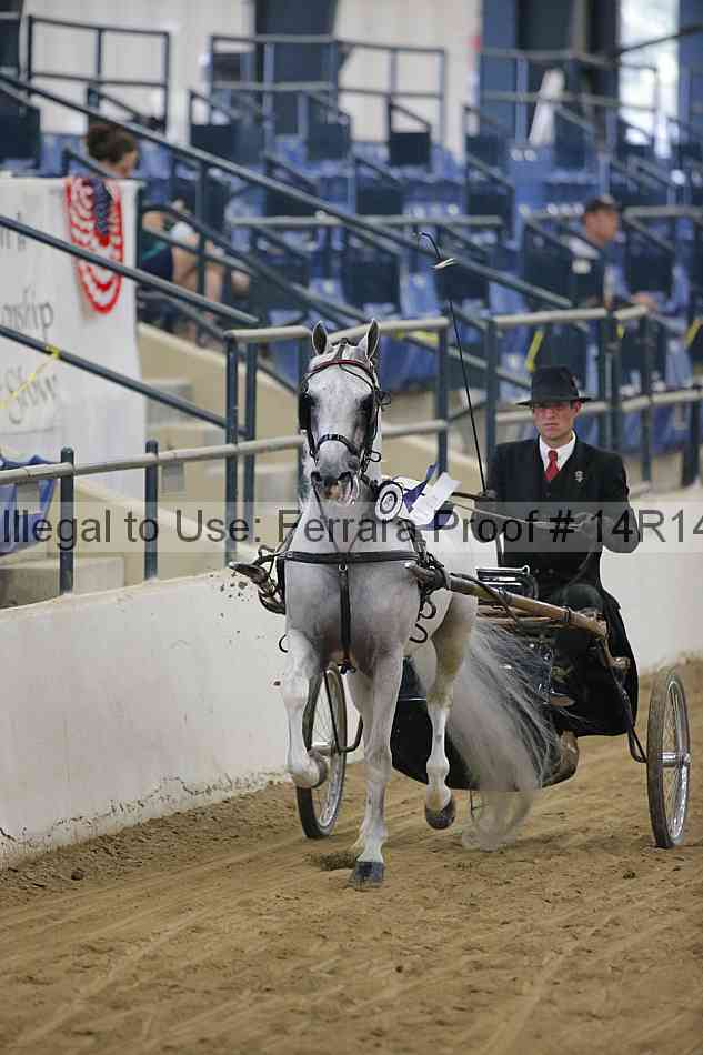 Proof Number 14r14_4091