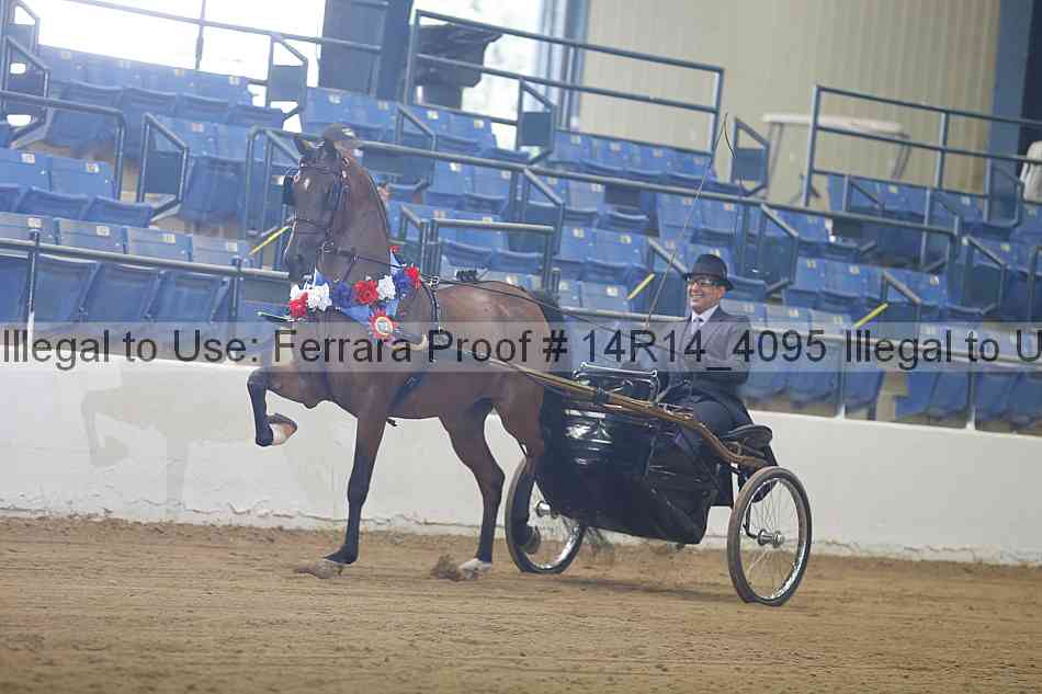 Proof Number 14r14_4095