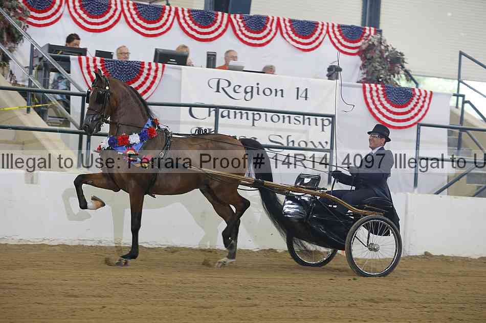 Proof Number 14r14_4097