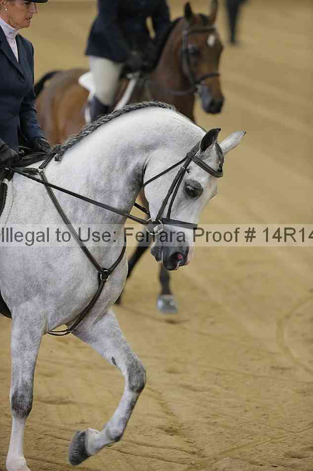 Proof Number 14r14_4127