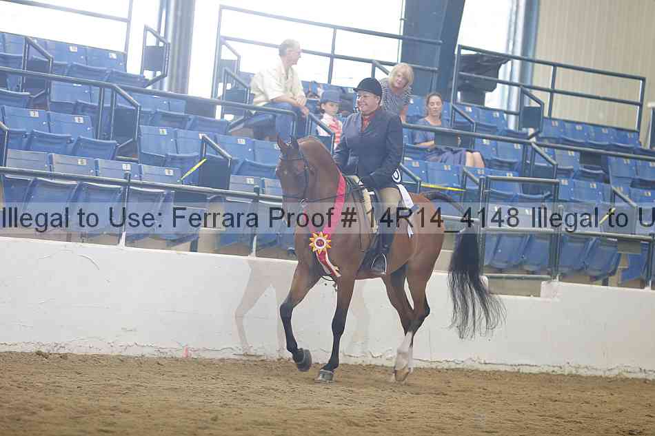 Proof Number 14r14_4148